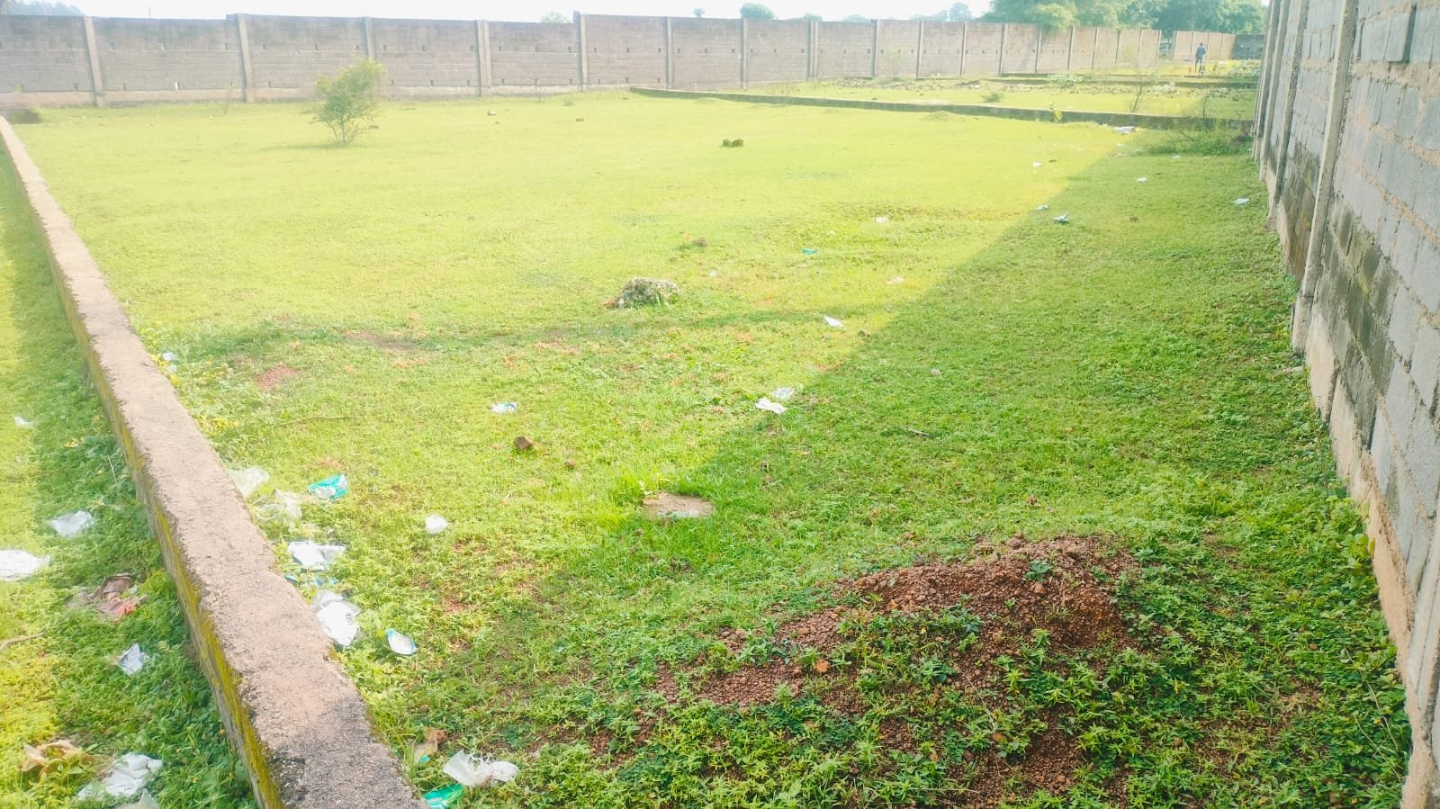 Property Image 5